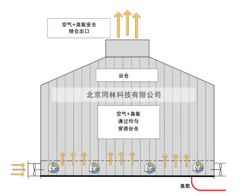 臭氧在谷物中昆虫控制的作用